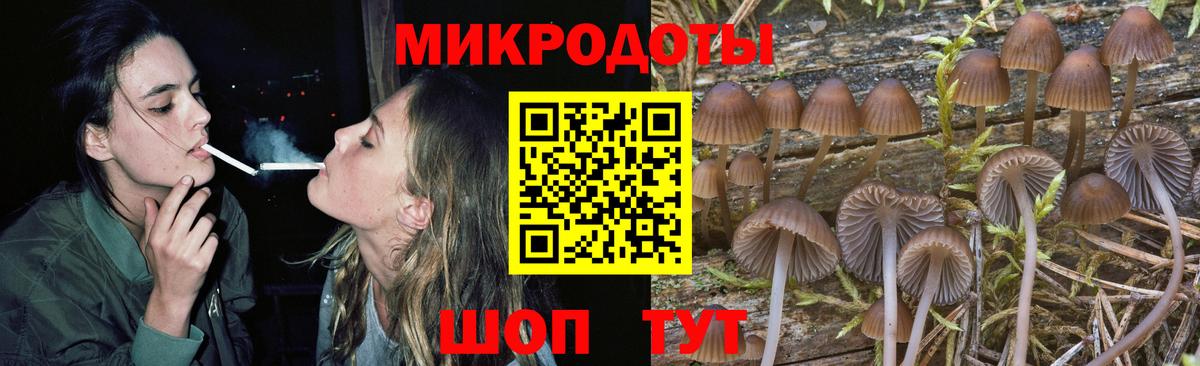 Псилоцибиновые грибы MAGIC MUSHROOMS Тулун