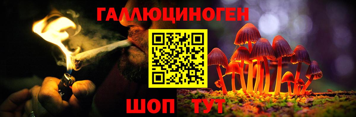 Тулун  Галлюциногенные грибы прущие грибы  Вход с VPN  Галлюциногенные грибы ЛСД 