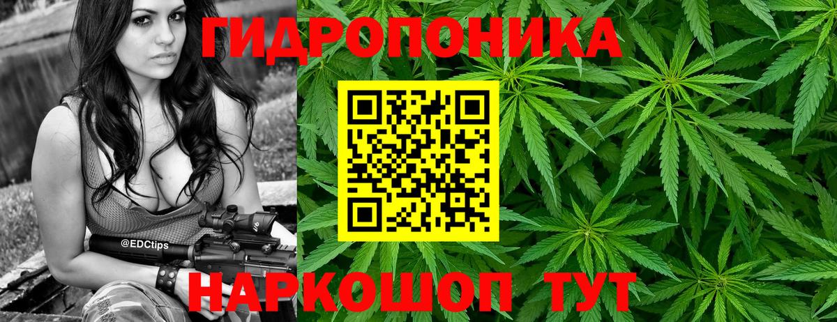 Конопля AK-47  Марихуана ГИДРОПОН  Вход с VPN  Конопля конопля  Тулун  Бошки марихуана гибрид 